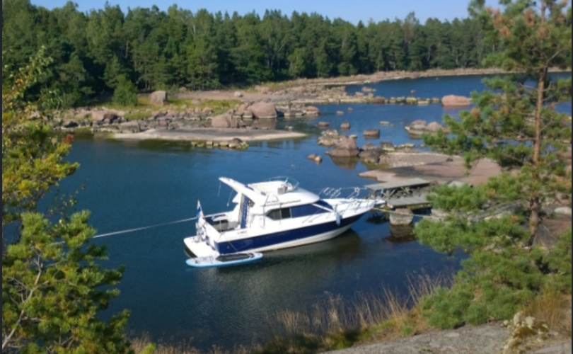 Bayliner 288 Discovery-kuva-3